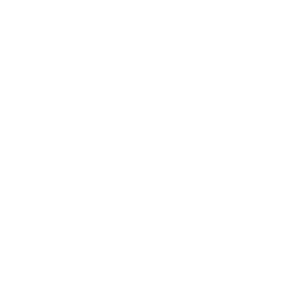 ce logo Lacrosse